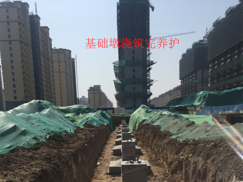 5基礎墩澆筑完養護